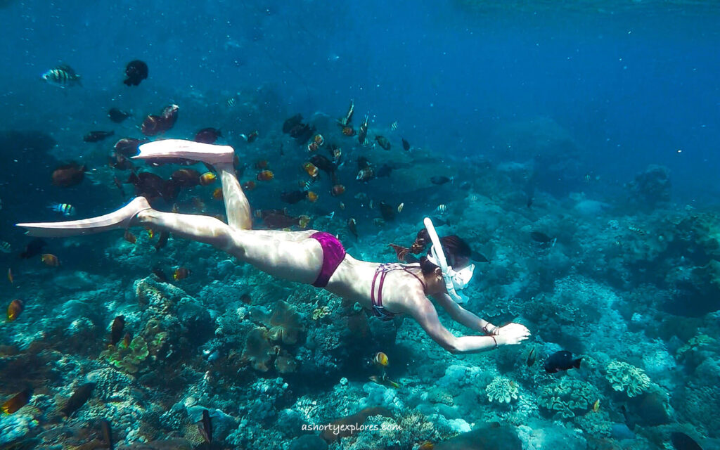 snorkeling in Nusa penida