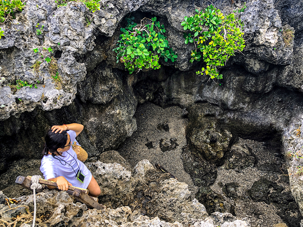 東清秘境入口爬梯