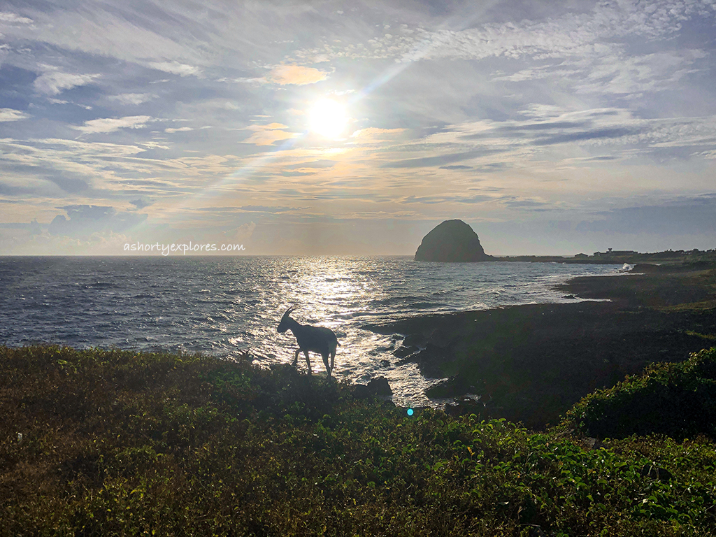 蘭嶼夕陽虎頭坡