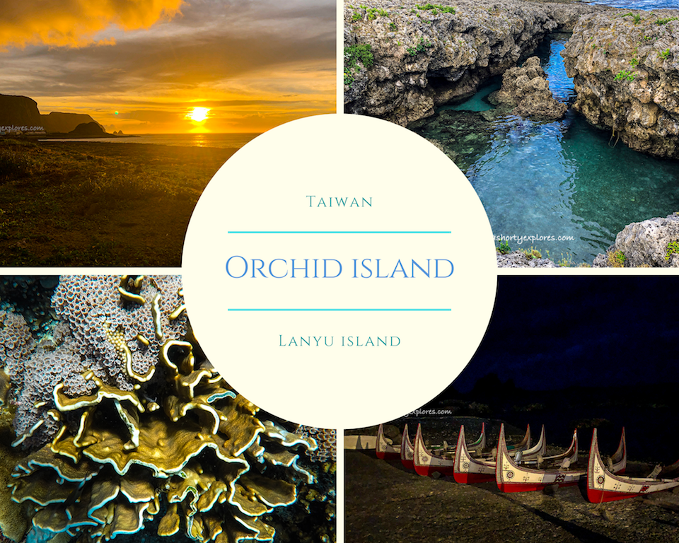 蘭嶼orchid island
