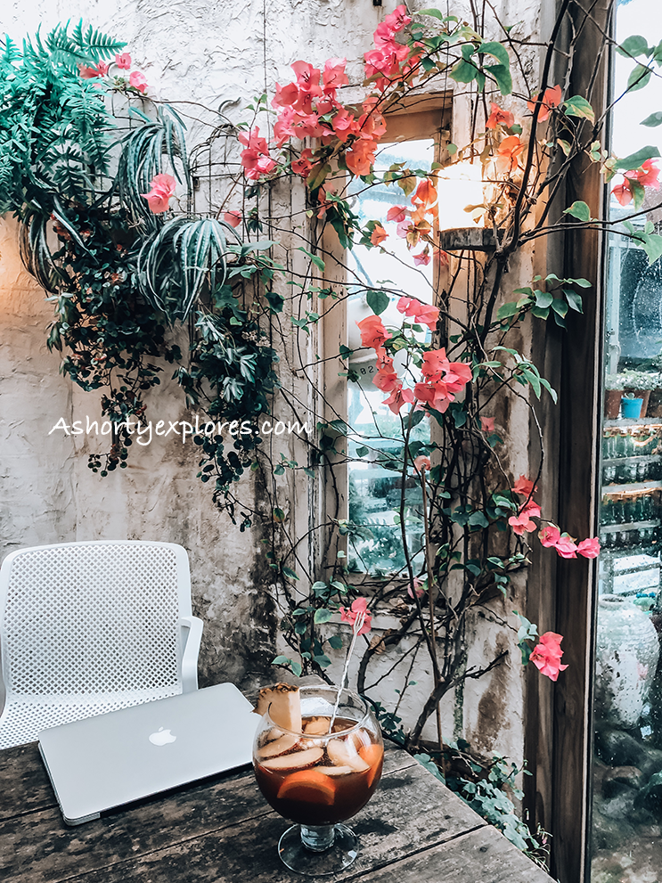 三芝 咖啡廳巴莎諾瓦