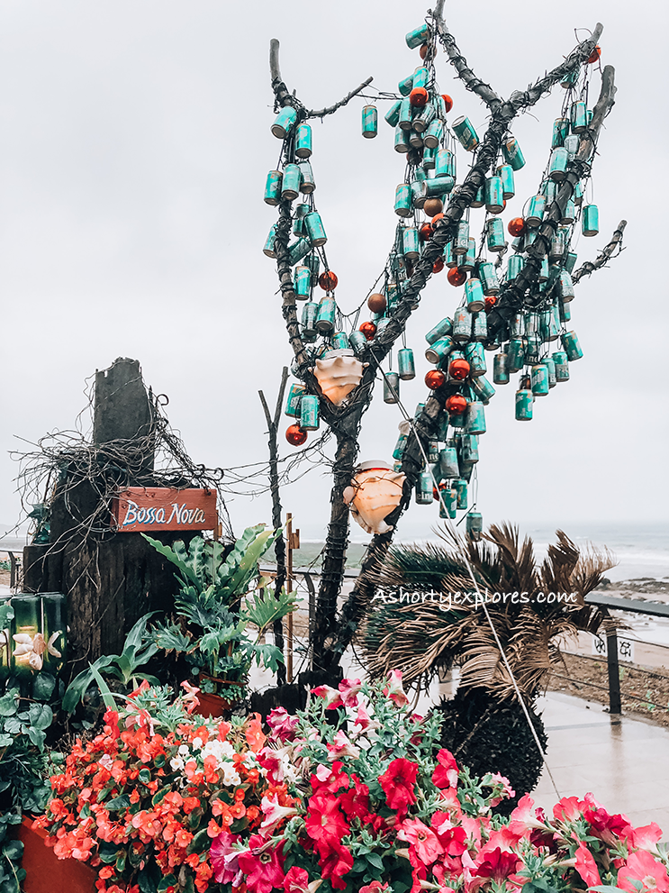 巴莎諾瓦 Bossa Nova三芝