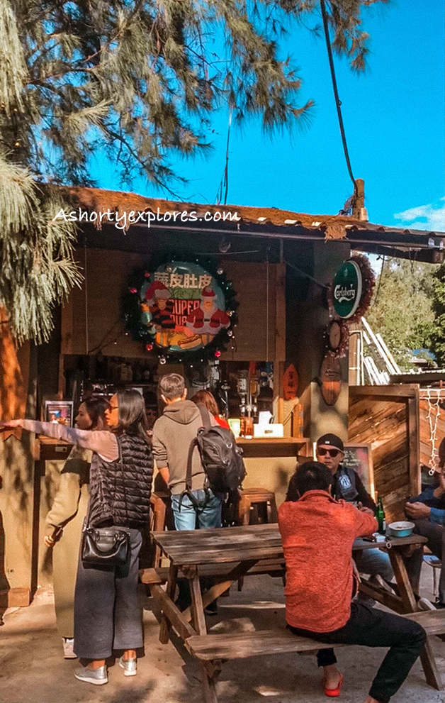 苗栗景點 蔬皮肚皮一店