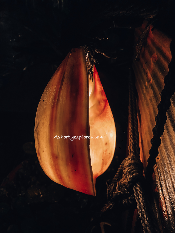 貝殼燈seashell light