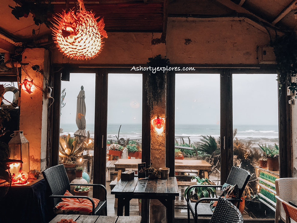 bossa nova 巴莎諾瓦北海岸咖啡