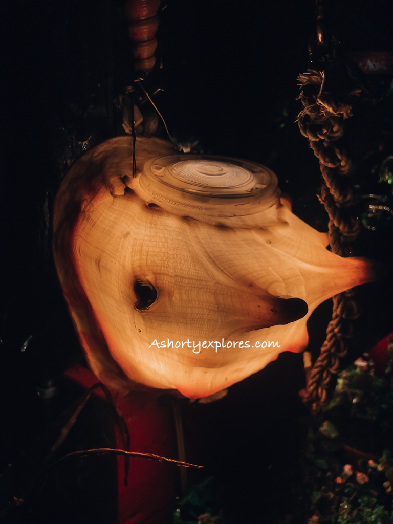 seashell light 貝殼燈