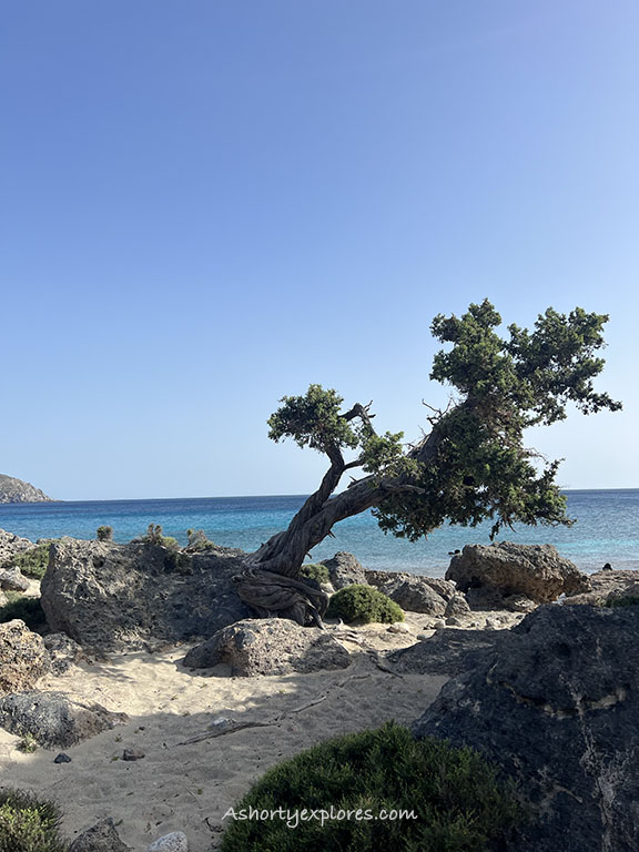 Kedrodasos Beach Crete Island Greece