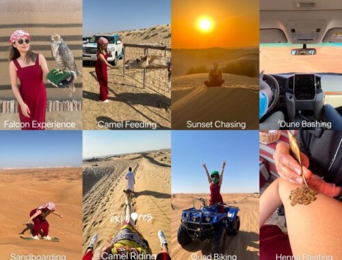 Dubai red dunes desert safari tour