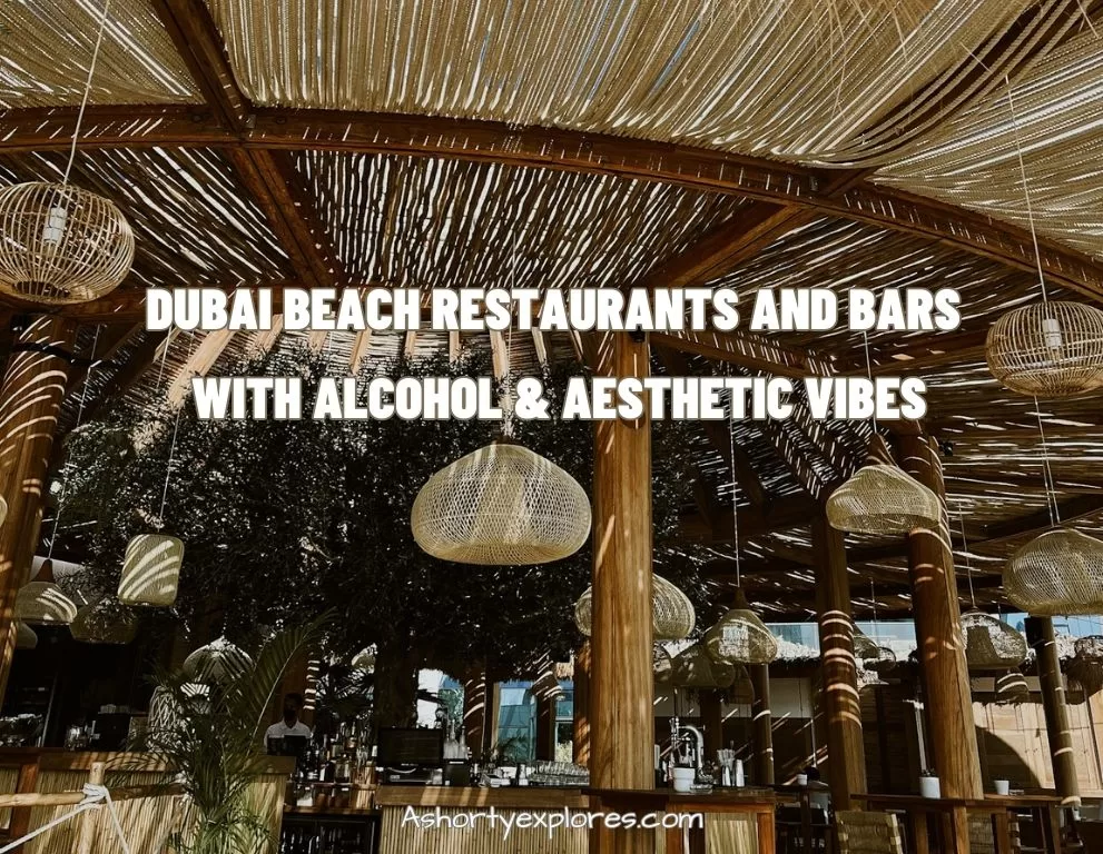 aesthetic dubai beach bar and restaurants with alcohol
