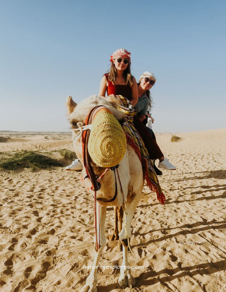 dubai camel riding tour