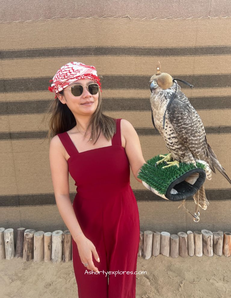 falcon experience dubai desert safari tour