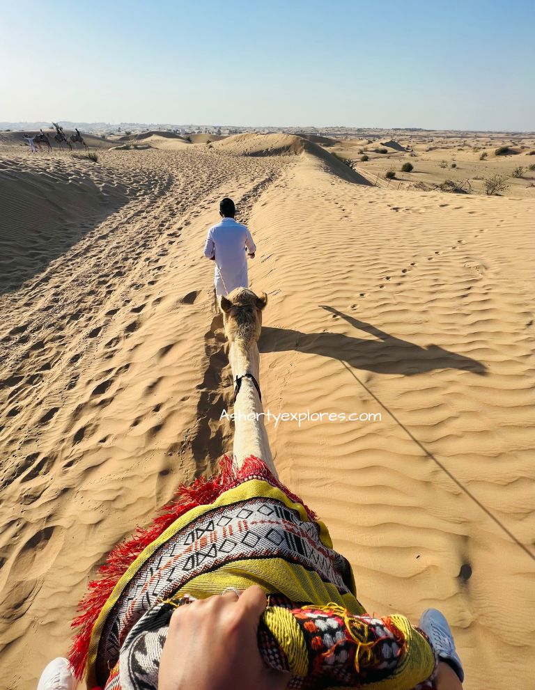 riding camel in dubai desert ssfari