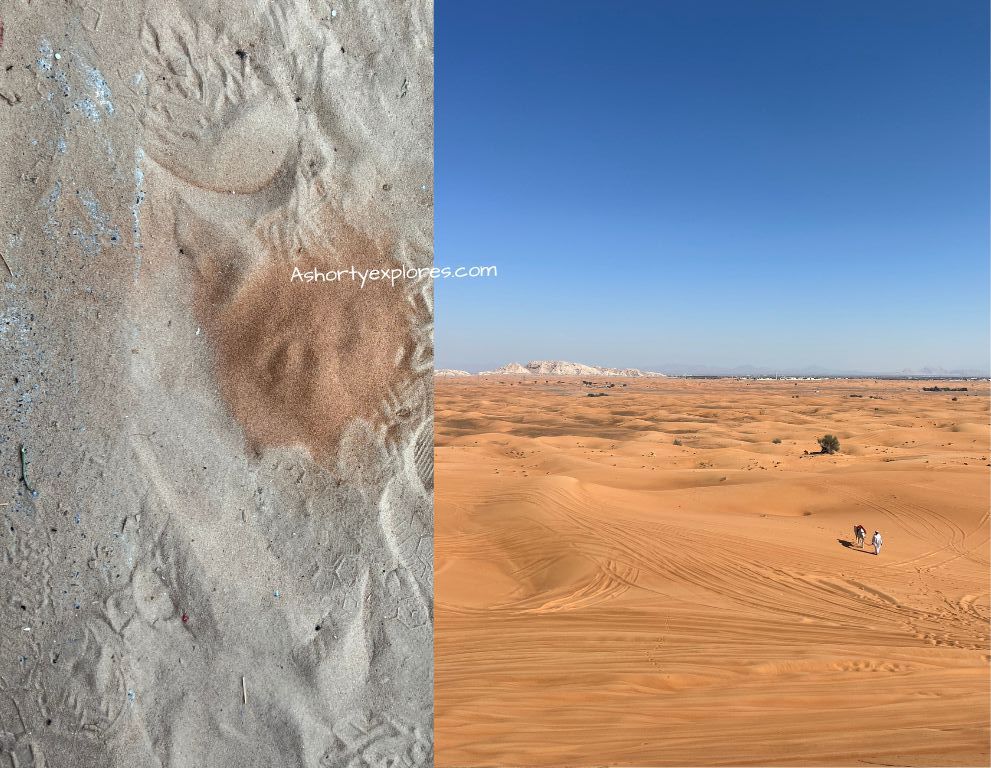 the differences between dubai red dunes and normal desert sand