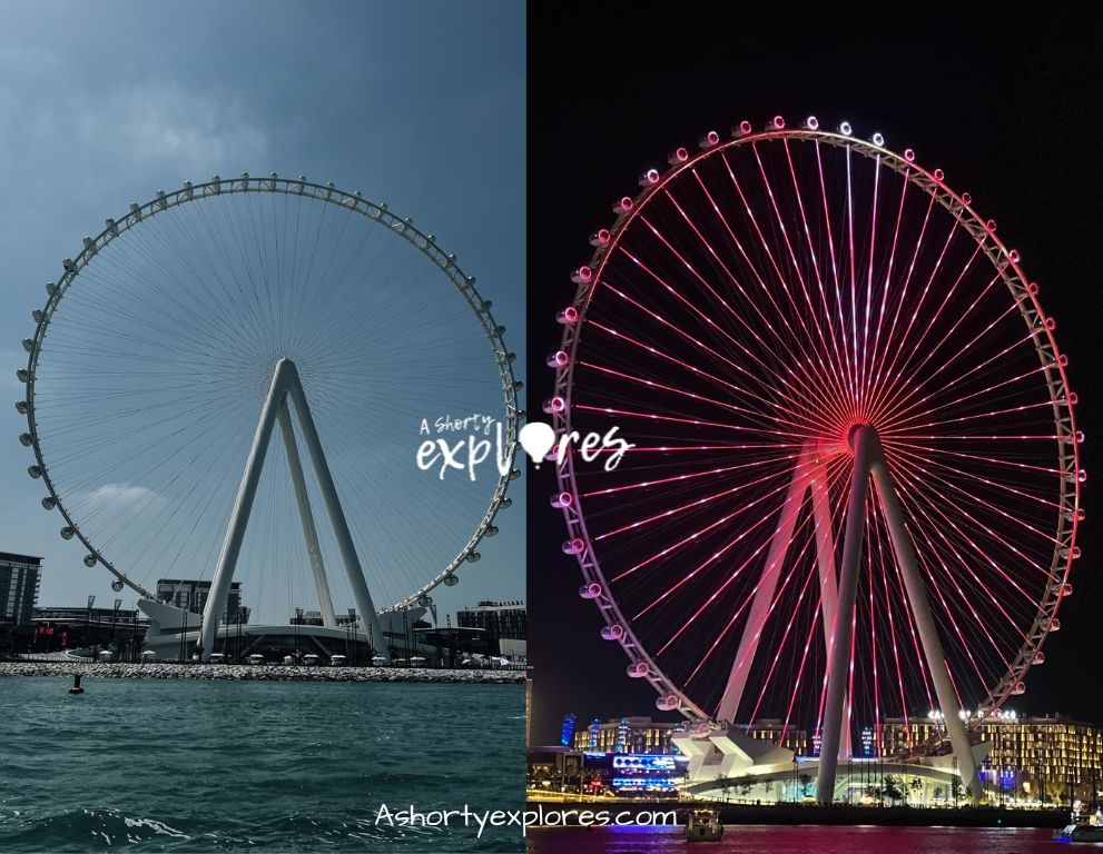 Ain Dubai (dubai eye) photo