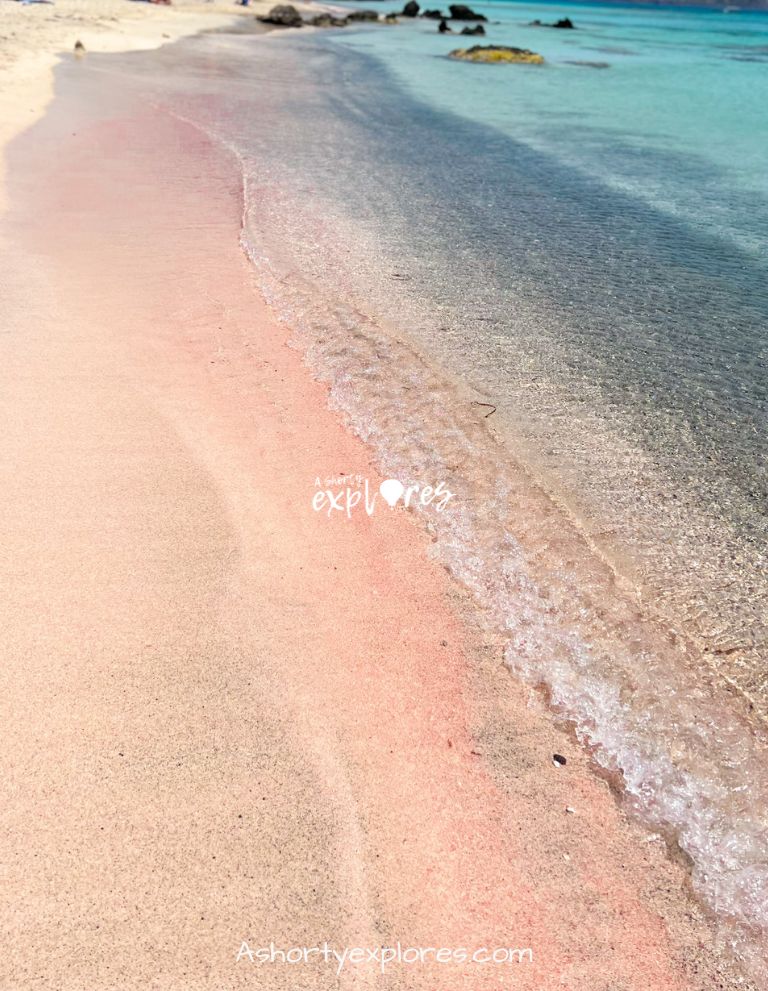 Elafonisi beach pink beach Crete Greece