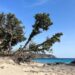 Kedrodasos Beach Crete Greece