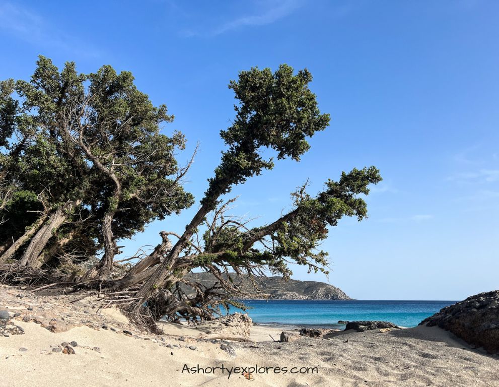 Kedrodasos Beach Crete Greece
