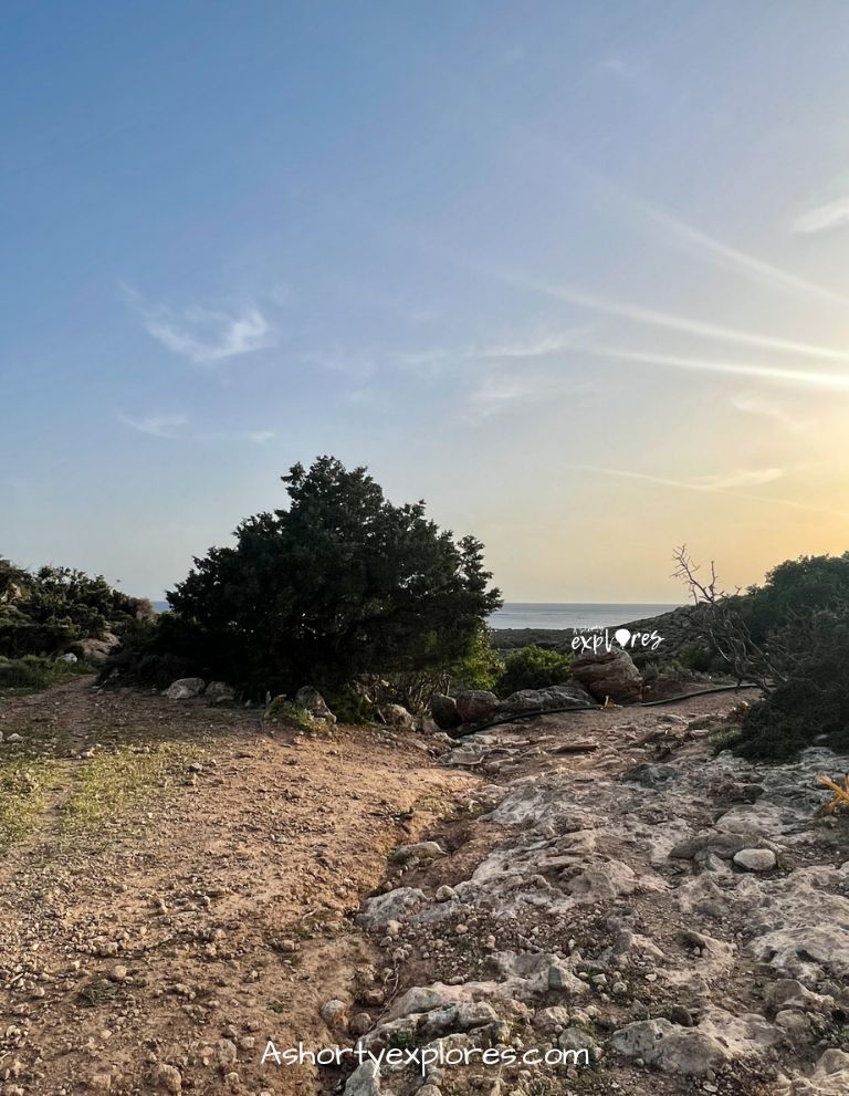 Kedrodasos Beach parking lot