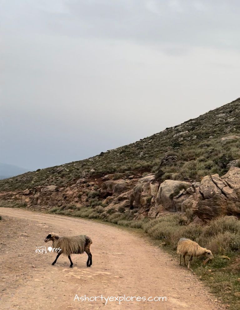 The road to Balos Beach