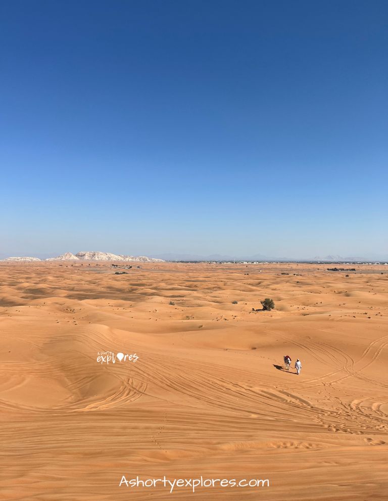 pros of living in dubai: beautiful dubai desert view