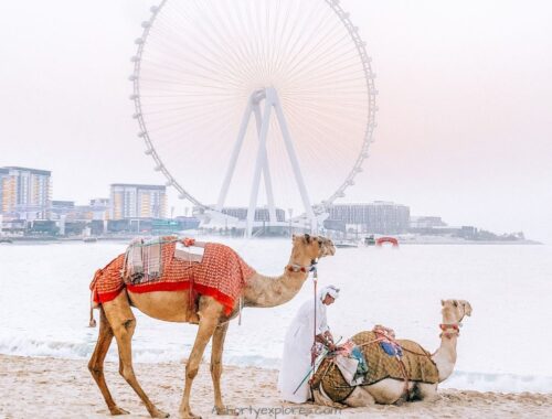 pros and cons of working in dubai