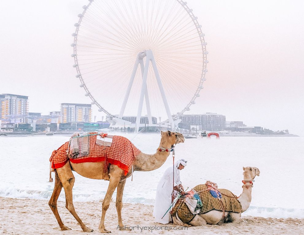 pros and cons of working in dubai