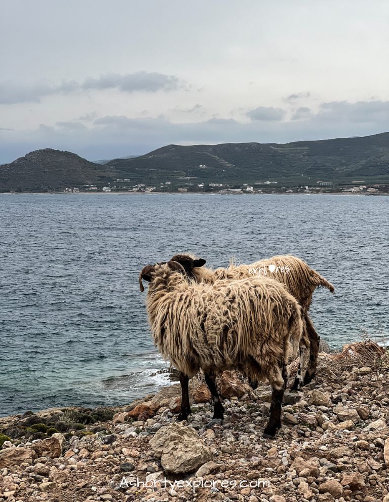 view on the way to Balos Beach