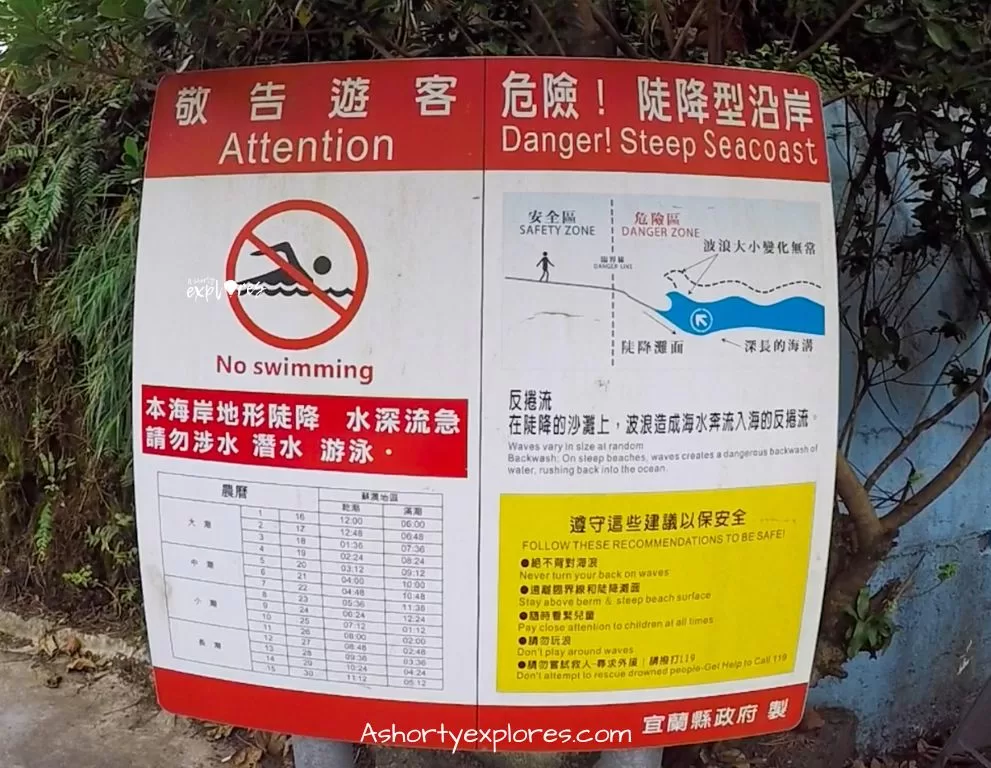 粉鳥林能游泳嗎