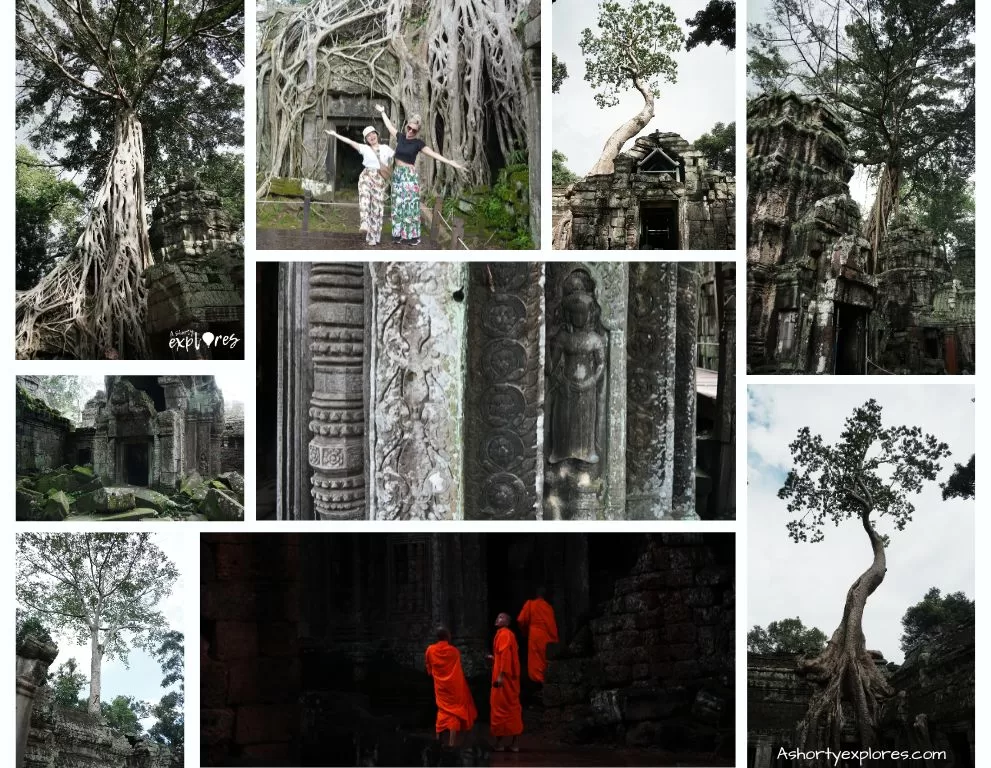Angkor wat tour Ta Prohm Temple