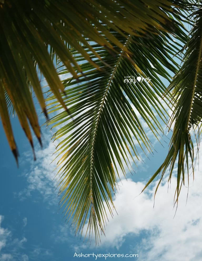 Koh Rong island 4k beach