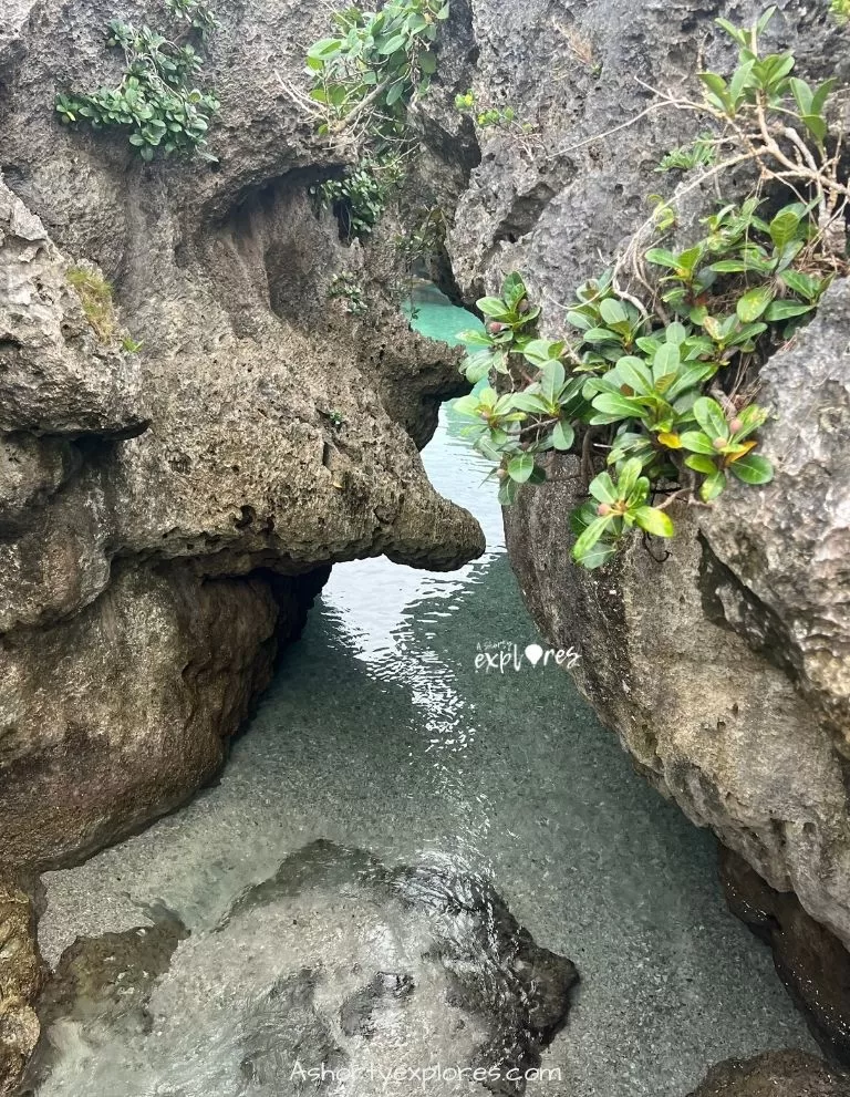 蘭嶼東清秘境 Orchid Island Iranmeylek Secret Spot