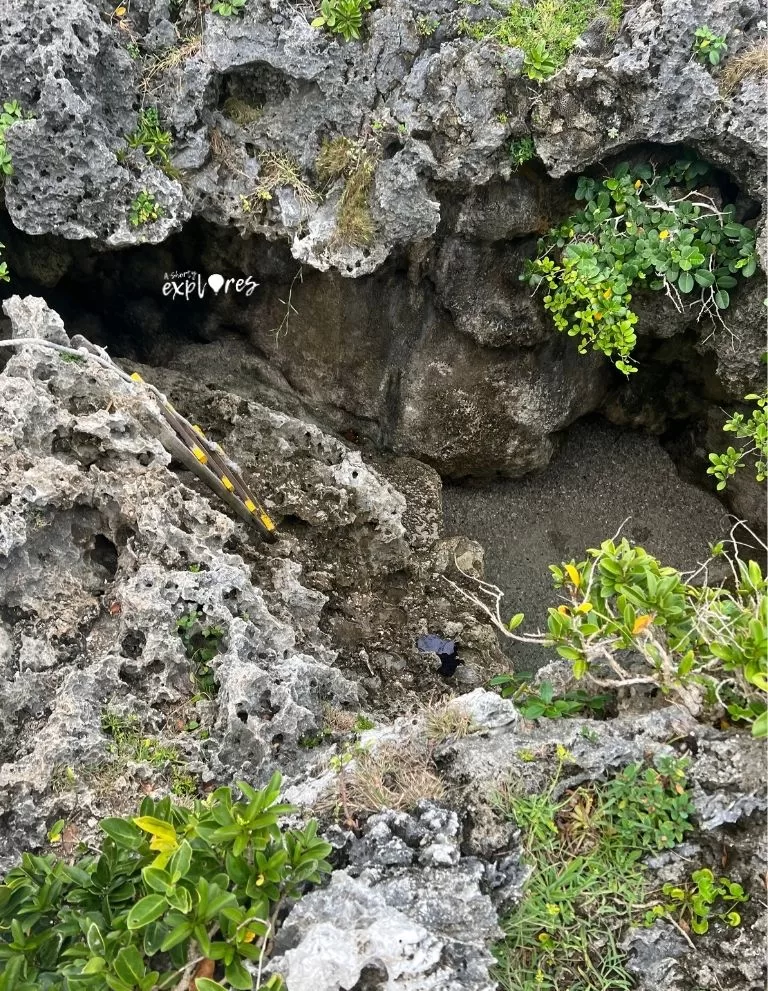 蘭嶼東清秘境入口 Orchid Island Iranmeylek Secret Spot entrance