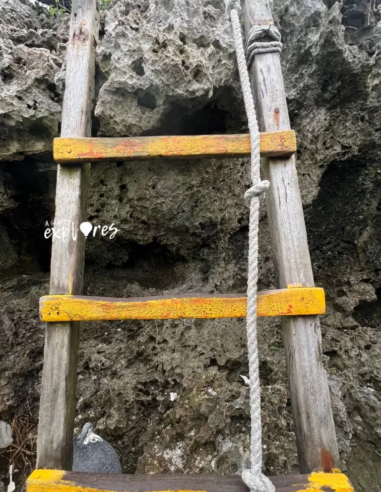 蘭嶼東清秘境入口梯子 Wooden ladder at the entrance of Iranmeylek Secret Spot