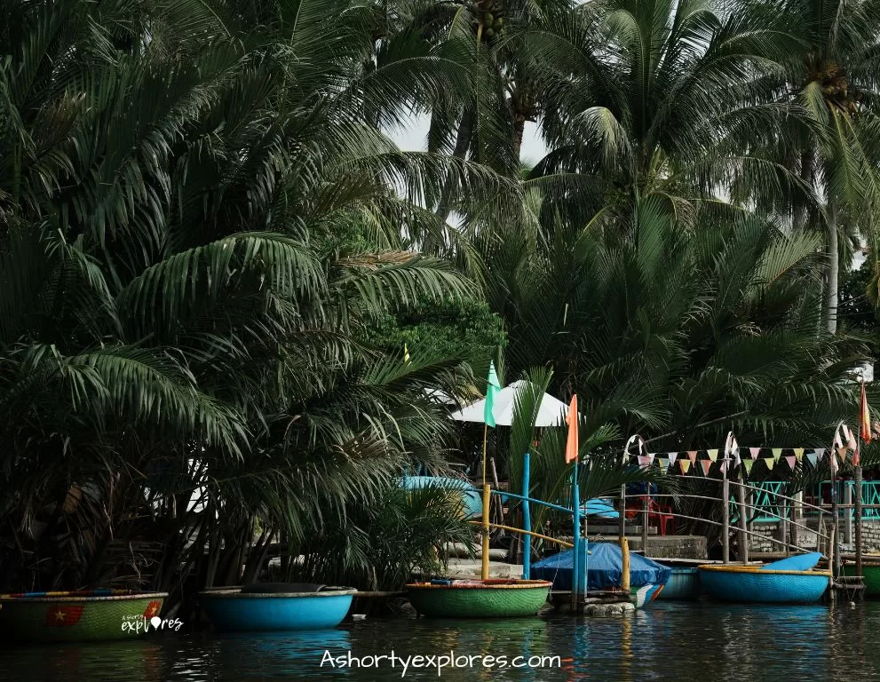 Hoi An basket boat at coconut forest 會安水椰林