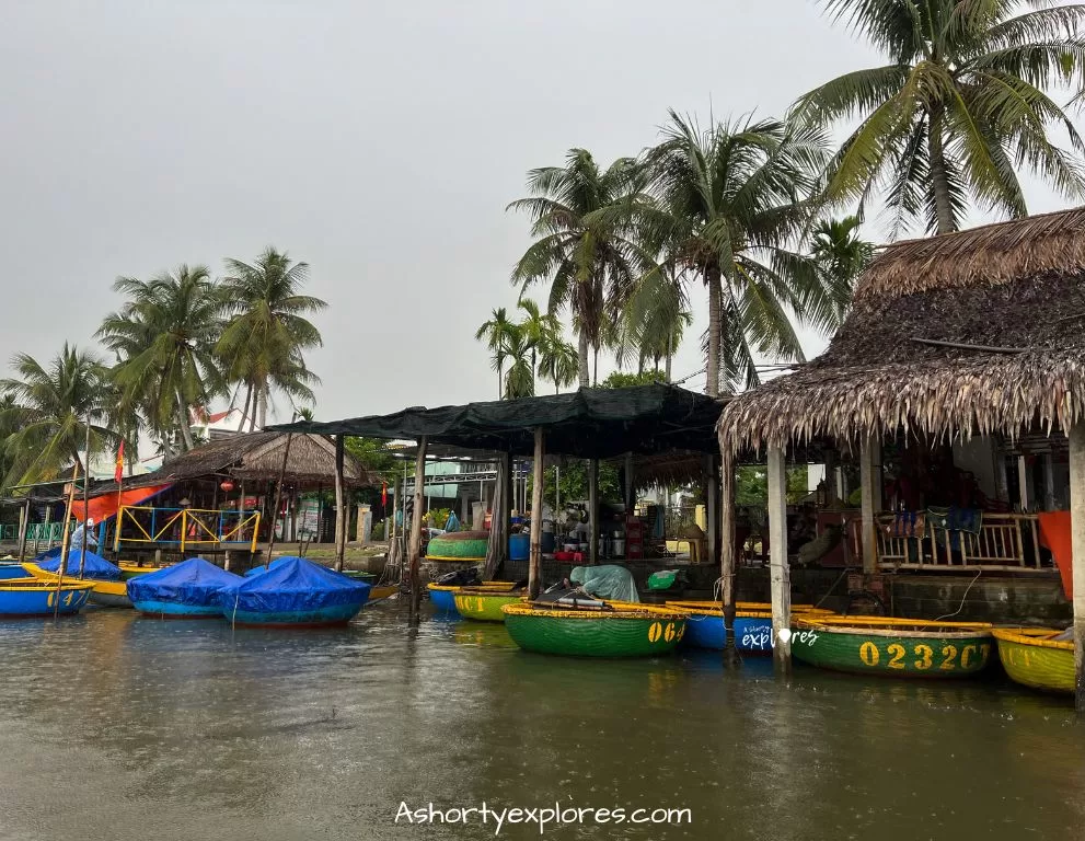 Hoi An coconut forest basket boat 南越會安水椰林竹籃船