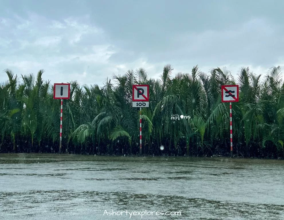 Hoi An coconut forest basket boat 會安竹籃船