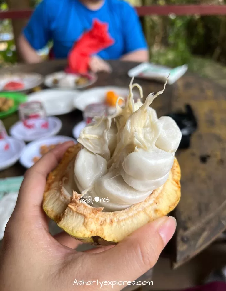 Mekong Delta day tour- fruit tasting