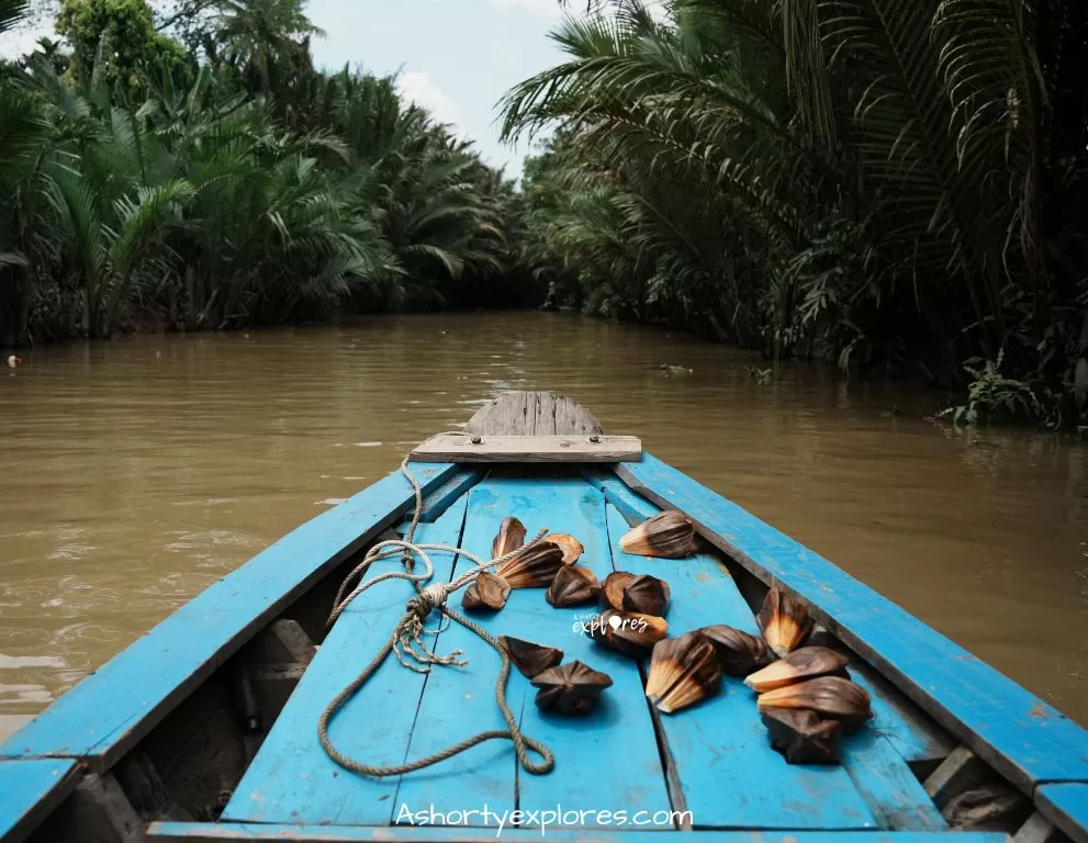 Mekong Delta sampan boat 湄公河舢板船