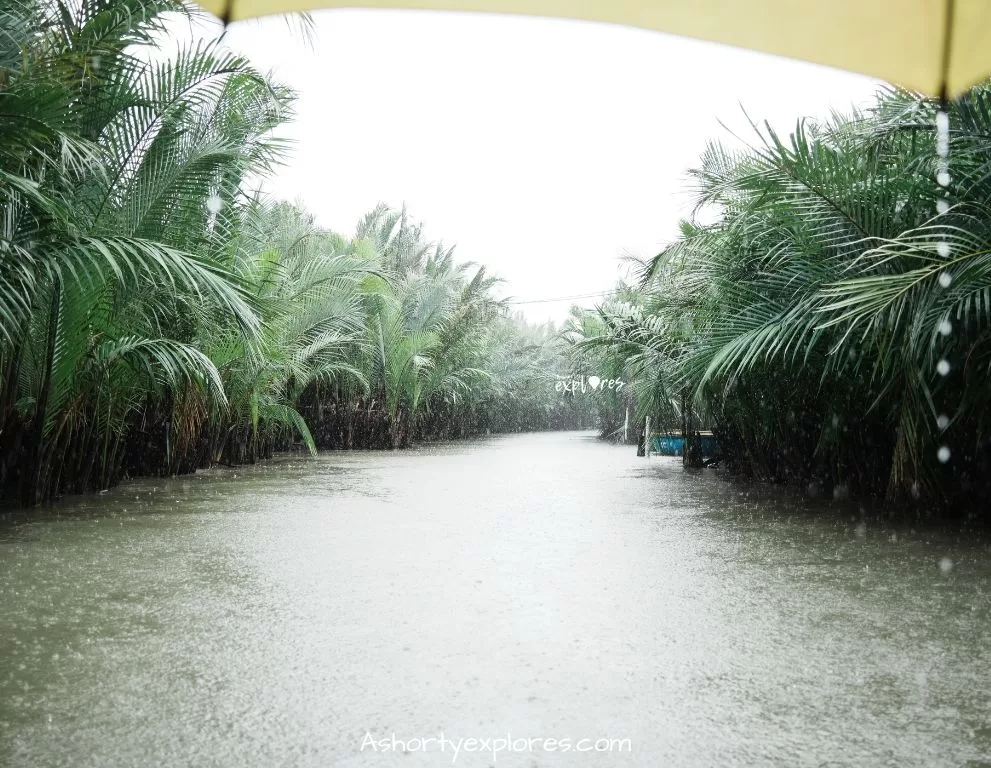 會安水椰林 Hoi An coconut forest