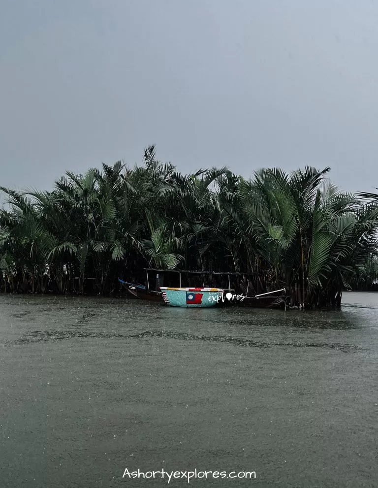 會安水椰林竹籃船 Hoi An coconut forest basket boat