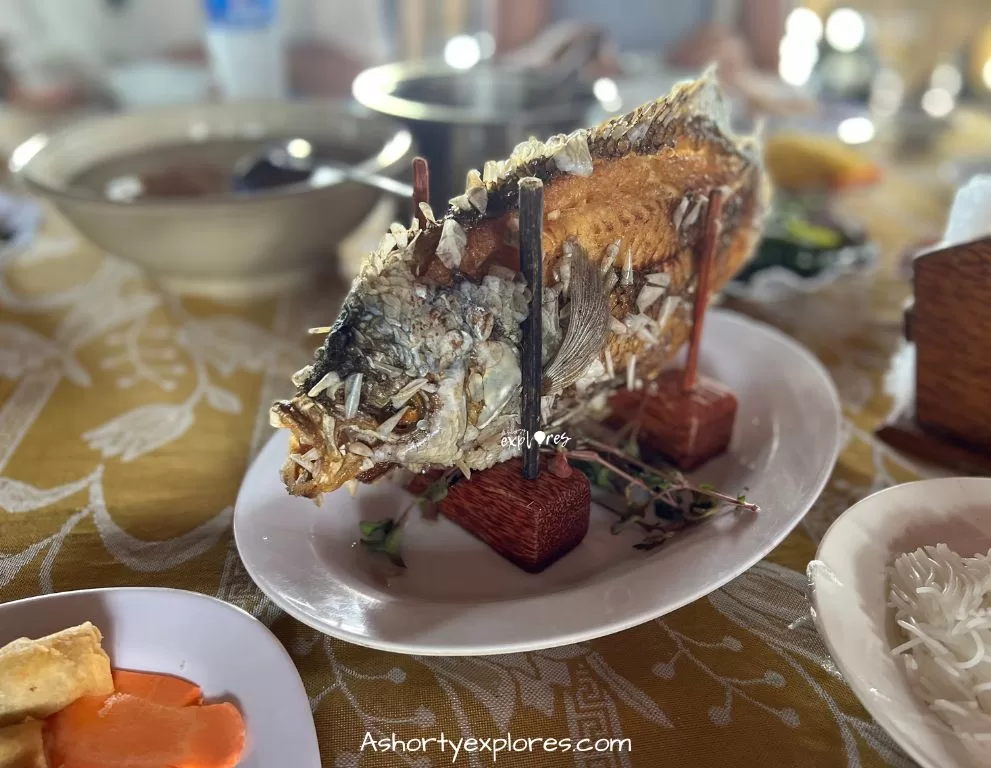 越南湄公河魚 Vietnam Mekong River fish