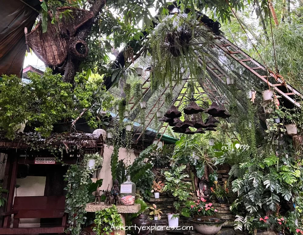 Hidden Garden, Vigan City, Philippines