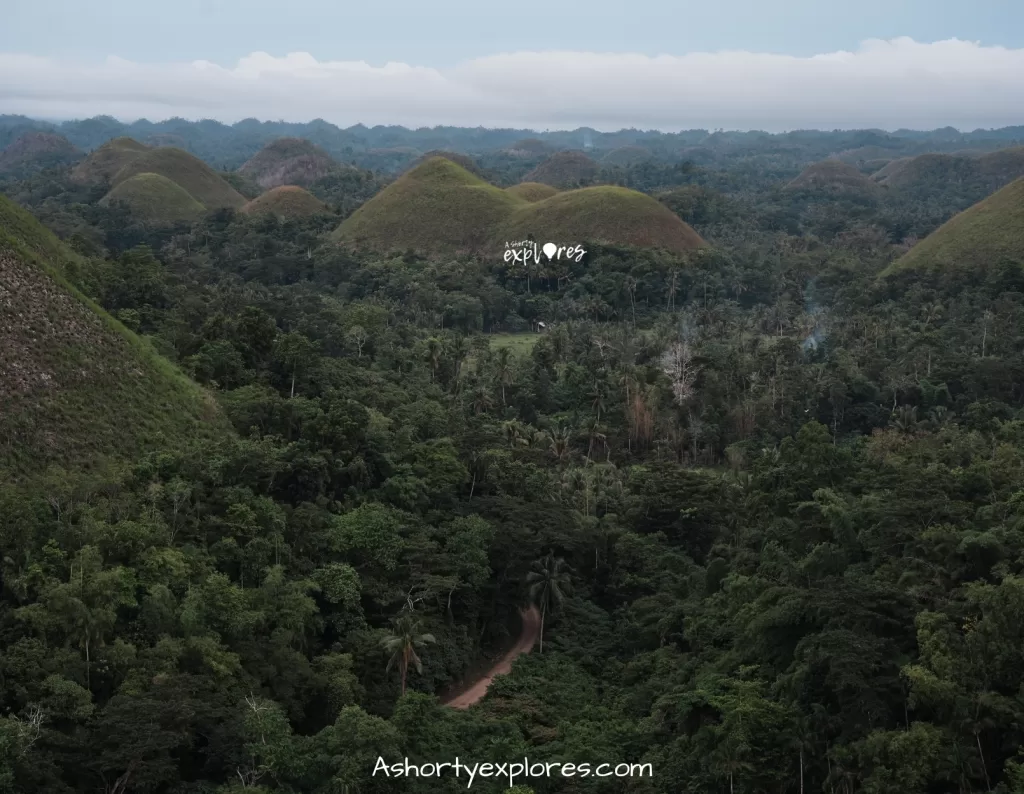 Bohol Chocolate Hills