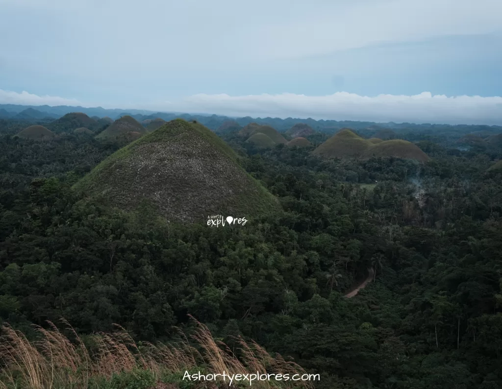 Bohol Island Chocolate Hills