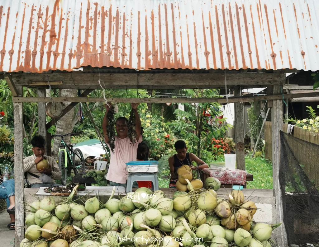 Bohol Island coconut