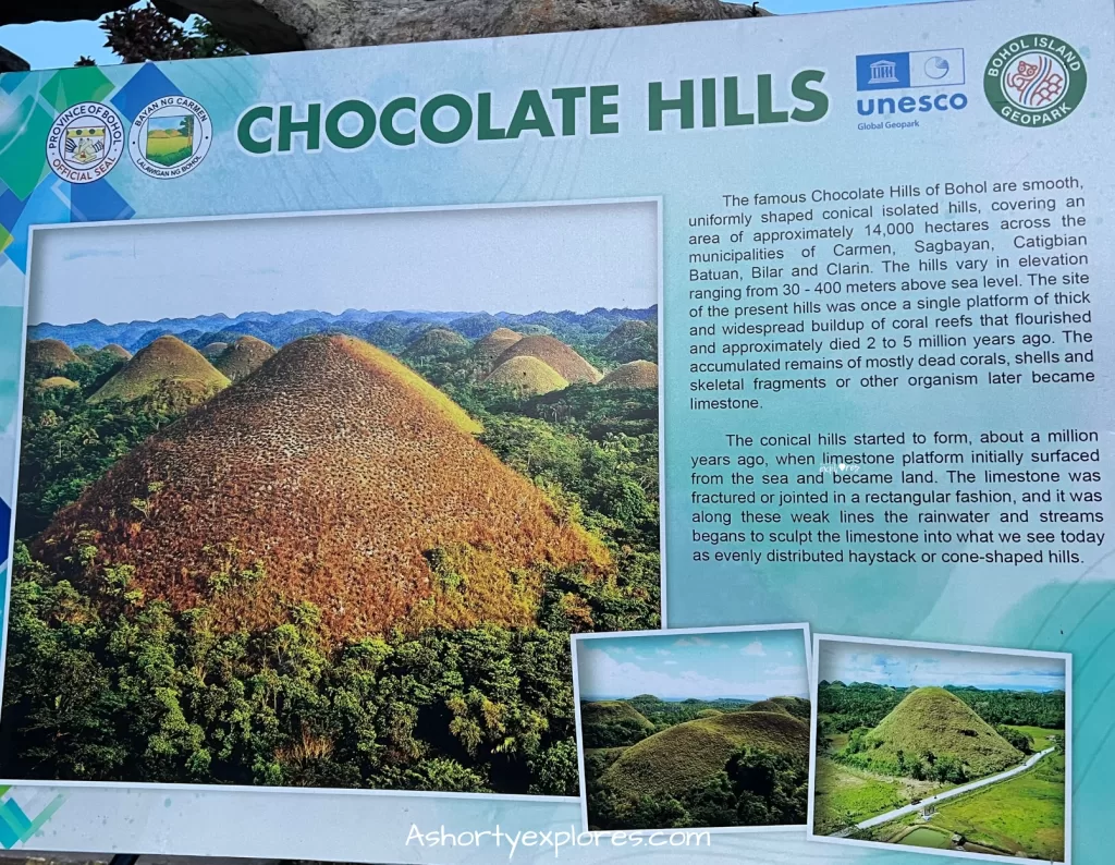 Chocolate Hills