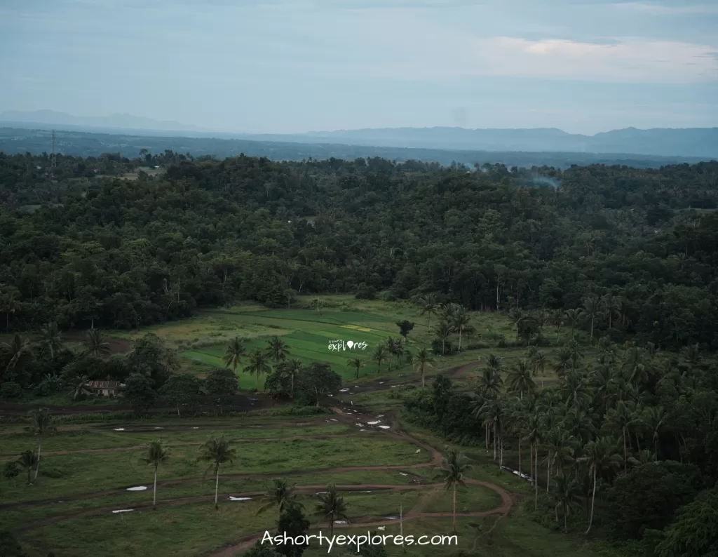 Chocolate Hills, Bohol island