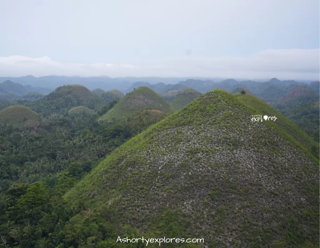 Chocolate Hills, bohol island, philippines