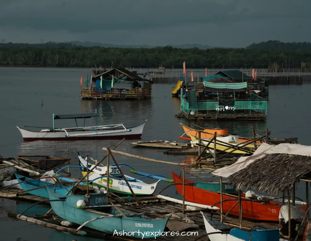 Manga Fish Port, Bohol Island