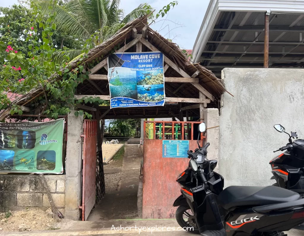 Napaling Reef diving point on bohol island